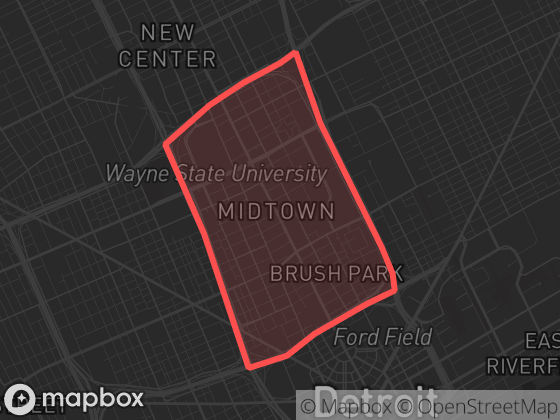 Map of Lower Woodward in Detroit with its official boundary outlined